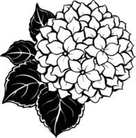 A large blue hydrangea cluster in a summer garden vector
