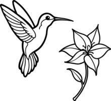 Tiny Wonder A Colorful Hummingbird Hovering Near a Flower illustration vector