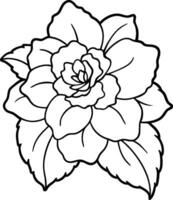 A pink begonia with waxy delicate petals eps illustration vector