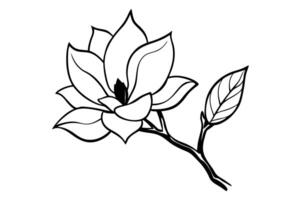 Magnolia blossom on a sturdy tree branch vector