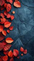 Vibrant red autumn leaves gracefully arranged on dark textured stone surface photo