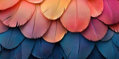 Vibrant layers of feathers showcase a stunning gradient of colors in this detailed close-up photo
