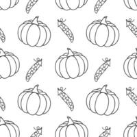 Pattern with healthy vegetables pumpkin and peas, outline drawing of healthy vegetables on white background. vector