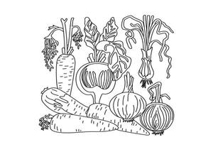 Line art set of vegetables isolated on white background. Hand drawn outline black and white botanical carrots, onions, beets illustration. Graphic design for Birthday Invitation Coloring Book vector