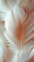 Soft white feathers layered on a gentle pastel background create a calming and elegant aesthetic photo