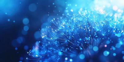 Delicate blue dandelion fluff illuminated by soft light with shimmering bokeh effect in the background photo