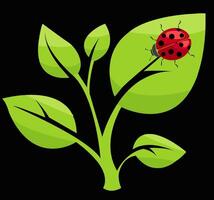 illustration of a green plant with bright leaves and a red ladybug in a simple style against a black background vector