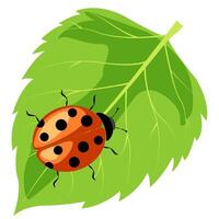 Ladybug resting on a vibrant green leaf under a clear blue sky in a serene garden setting vector