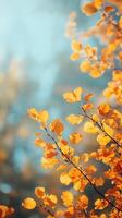 Golden autumn leaves glimmer under bright sunlight in a serene forest setting photo