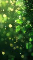 Natural green leaves glistening with water droplets under soft sunlight in a lush environment photo