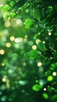 Sunlight filters through lush green leaves, highlighting droplets of water in a serene garden setting photo