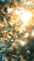 Sunlight filters through green leaves creating a serene and warm atmosphere in a natural setting photo