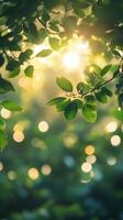 Sunlight filtering through leaves creates a serene atmosphere in a lush green forest during golden hour photo