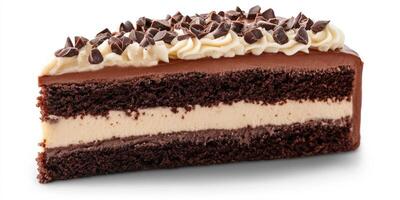 Chocolate cake with creamy filling and chocolate chips offered for dessert photo