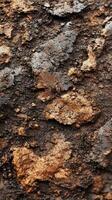 Detailed close-up of textured earth showing layers of soil and rock formations in natural landscape photo