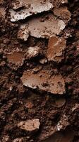 Cracked earth texture with shades of brown revealing layered soil composition in a natural landscape setting photo