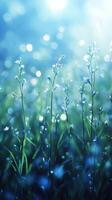 Delicate wildflowers swaying gently in the sunlight amidst sparkling dew in a serene meadow photo