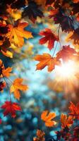 Colorful autumn leaves illuminated by sunlight create a vibrant atmosphere in a serene outdoor setting during fall photo