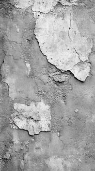 Weathered concrete wall showing intricate cracks and peeling texture in black and white photo