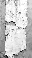 Cracked plaster wall with peeling paint in monochrome showing decay and age photo