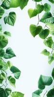 Lush green leaves framing a bright light background in a tranquil indoor setting during the afternoon photo