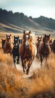 Horses running through a golden field in the great plains during late afternoon sunlight photo