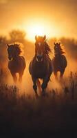 Horses run freely against a stunning sunset backdrop in a dust-filled field photo
