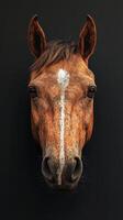 Close-up of a beautiful chestnut horse with distinctive markings against a dark background photo