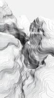 Intricate topographical lines create a mesmerizing landscape in black and white photo