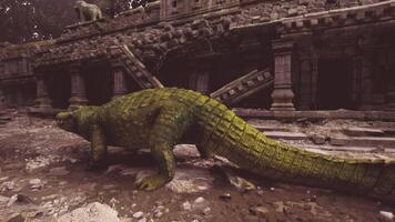 Crocodile exploring ancient ruins in a dense jungle video