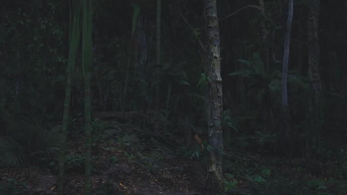 exploring-a-dark-and-