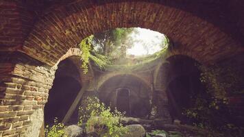 Ruins covered in greenery with soft light filtering through arches video