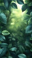 Lush green leaves frame a tranquil forest background bathed in soft, diffused light during the morning photo