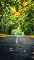 Serene tree-lined road during autumn with colorful leaves scattered along the surface photo