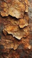 Textured layers of weathered paper create an artful composition with earthy tones against a mottled background photo