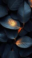 Dark foliage with warm highlights showcasing intricate leaf textures in a mysterious atmosphere photo