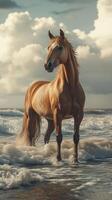Majestic horse stands in shallow ocean waves under a dramatic sky during sunset photo