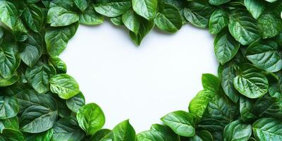 Heart-shaped arrangement of fresh green leaves on a plain background showcasing nature's beauty and simplicity photo