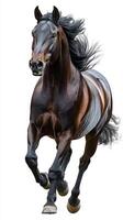 Black horse galloping with flowing mane across a bright background during daylight photo