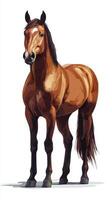 Majestic brown horse standing proud in a bright studio setting, showcasing detailed features and vibrant colors photo