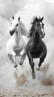 White and black horses run swiftly through a cloud of dust in a dynamic and powerful natural setting photo