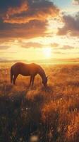 Horse grazing in a golden field at sunset with vibrant clouds and serene atmosphere photo