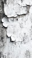 Peeling white paint revealing cracked surface on an old wall in a weathered urban setting photo