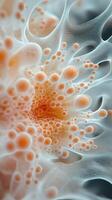 Close view of intricate cellular structures displaying varying sizes and patterns in an abstract design photo