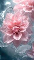 Pink flower surrounded by water droplets in a serene natural setting photo