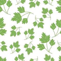 Seamless pattern green leaves parsley vector