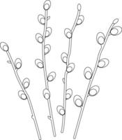 Outline image of spring willow twigs. vector