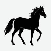 black silhouette of a horse on a white background vector