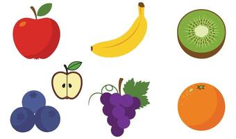 Tropical and Citrus Fruit Icon Collection with Colorful Vectors Elements for Food and Nutrition Designs