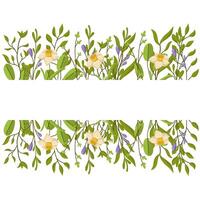 spring banner with delicate flowers, leaves and space for text. Botanical illustration for greeting cards and invitations. vector